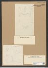 Triceratium notabile Grev. (de-Toni-Nr.: Genus 140, Species 3952) Zeichnungen Sammlung Grunow Nr. 7433 (NHMW-BOT-W0376517)